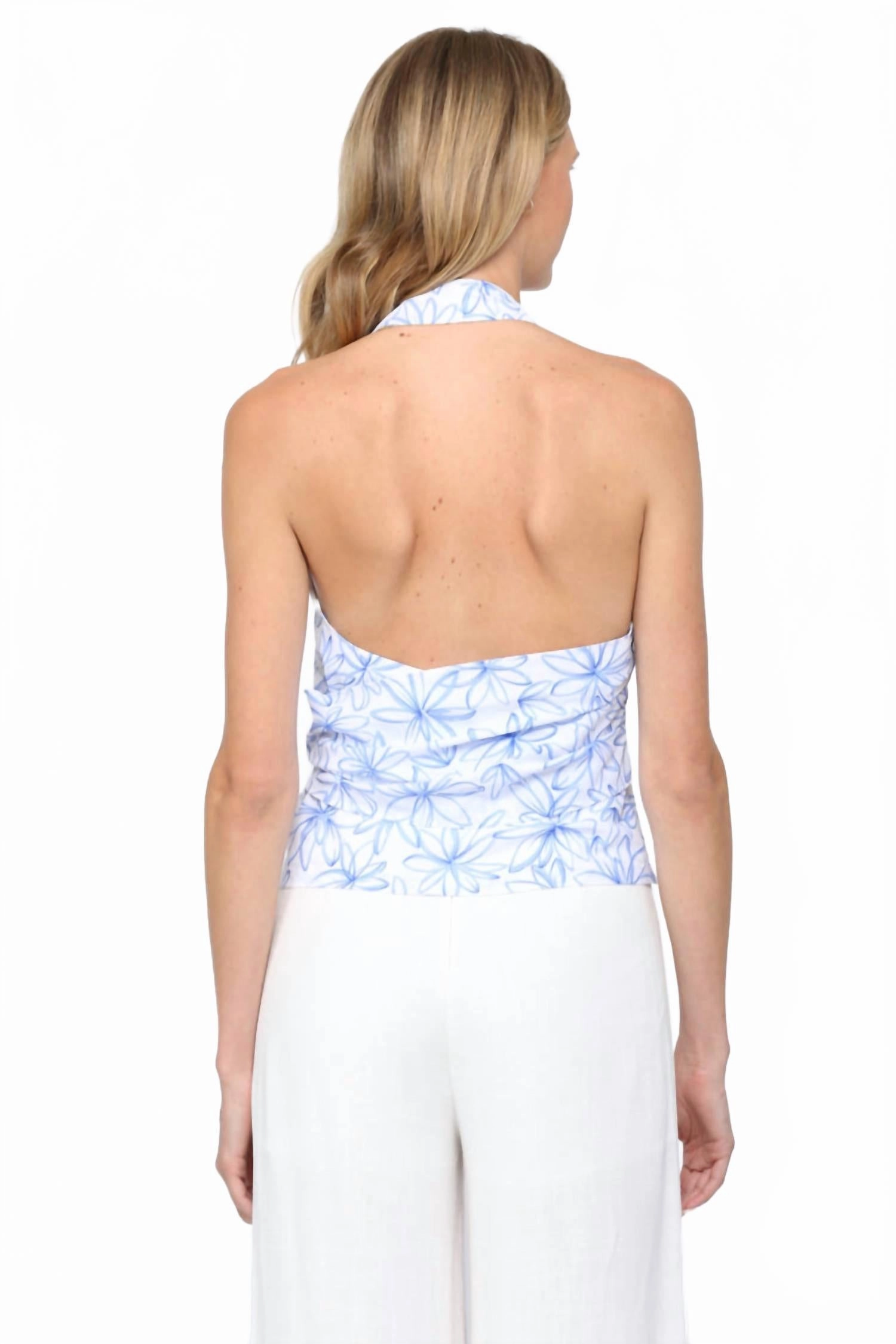 Daisy Halter Top In Blue/white