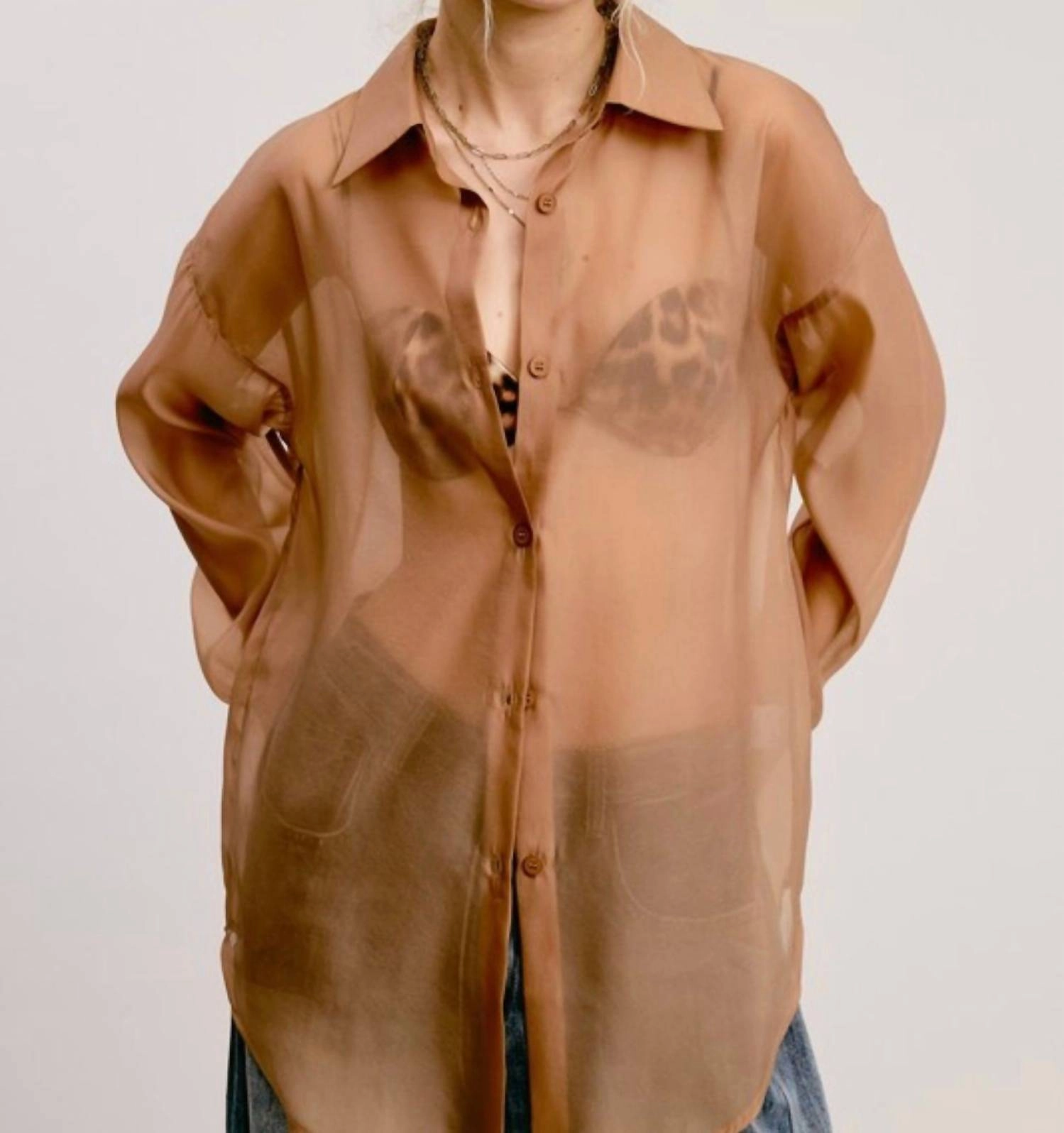 Dress To Impress Sheer Button Down Top In Taupe