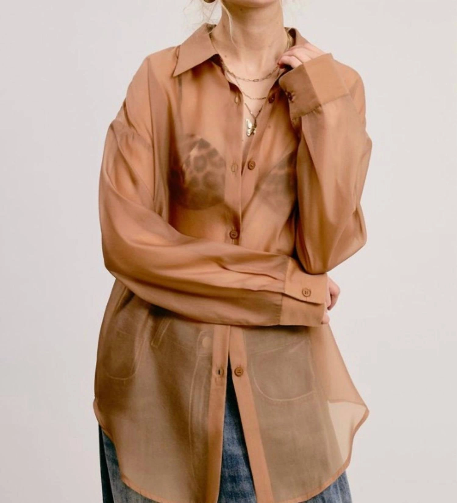 Dress To Impress Sheer Button Down Top In Taupe