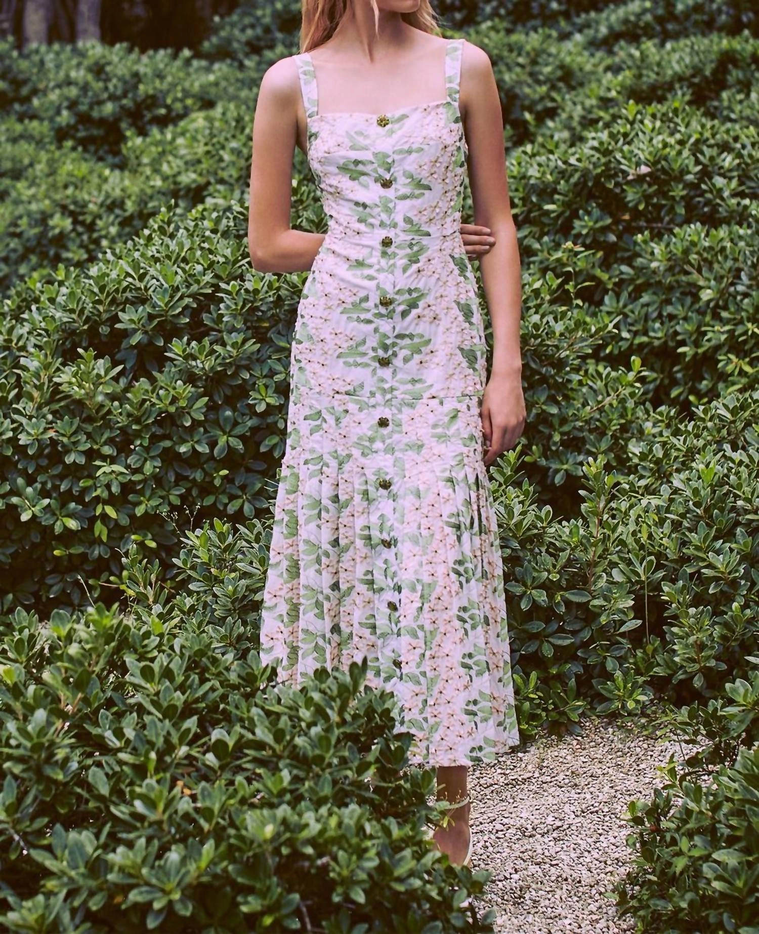 Fedellia Dress In Multi