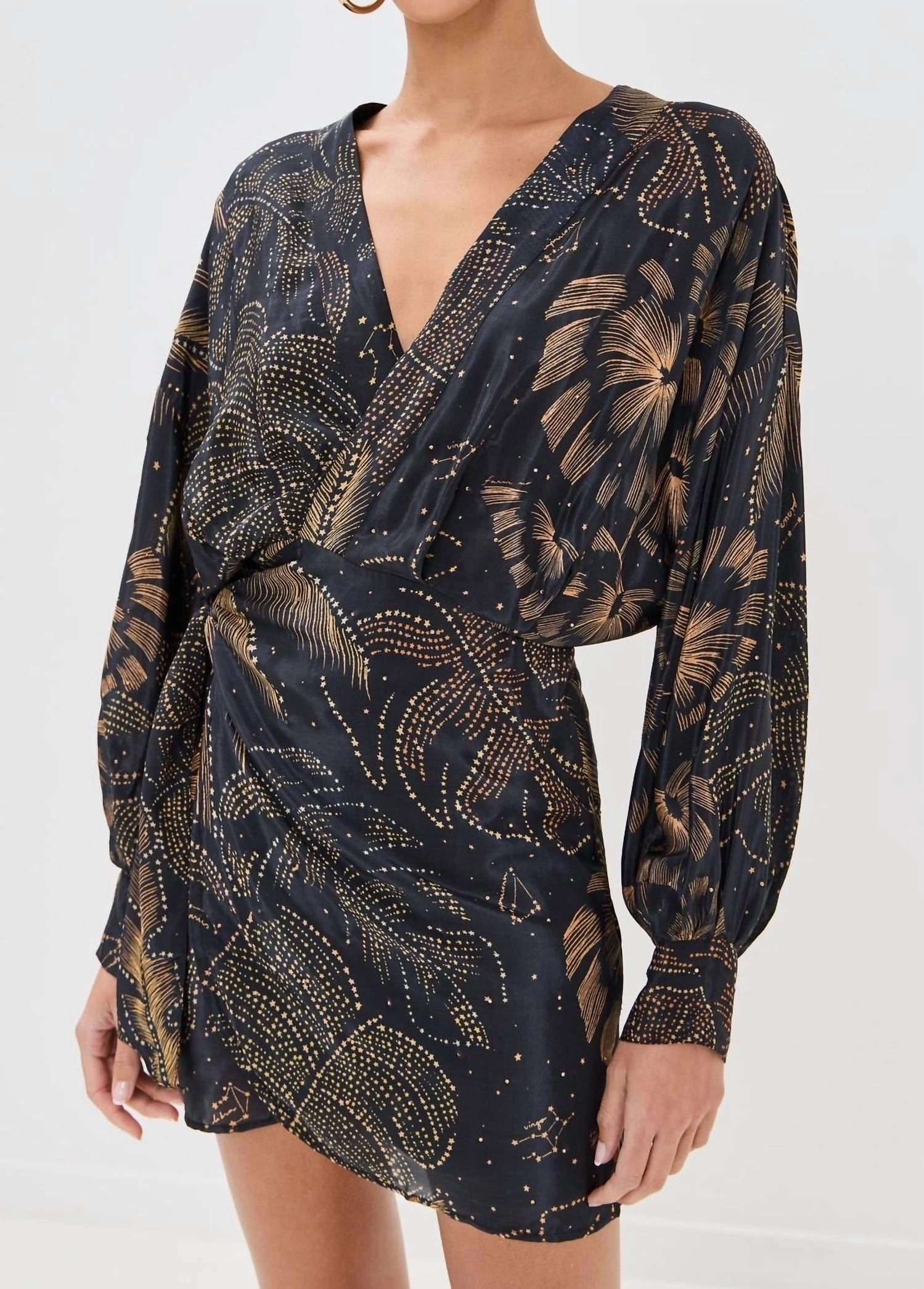 Mini Puffy Sleeve Dress In Golden Foliage Black