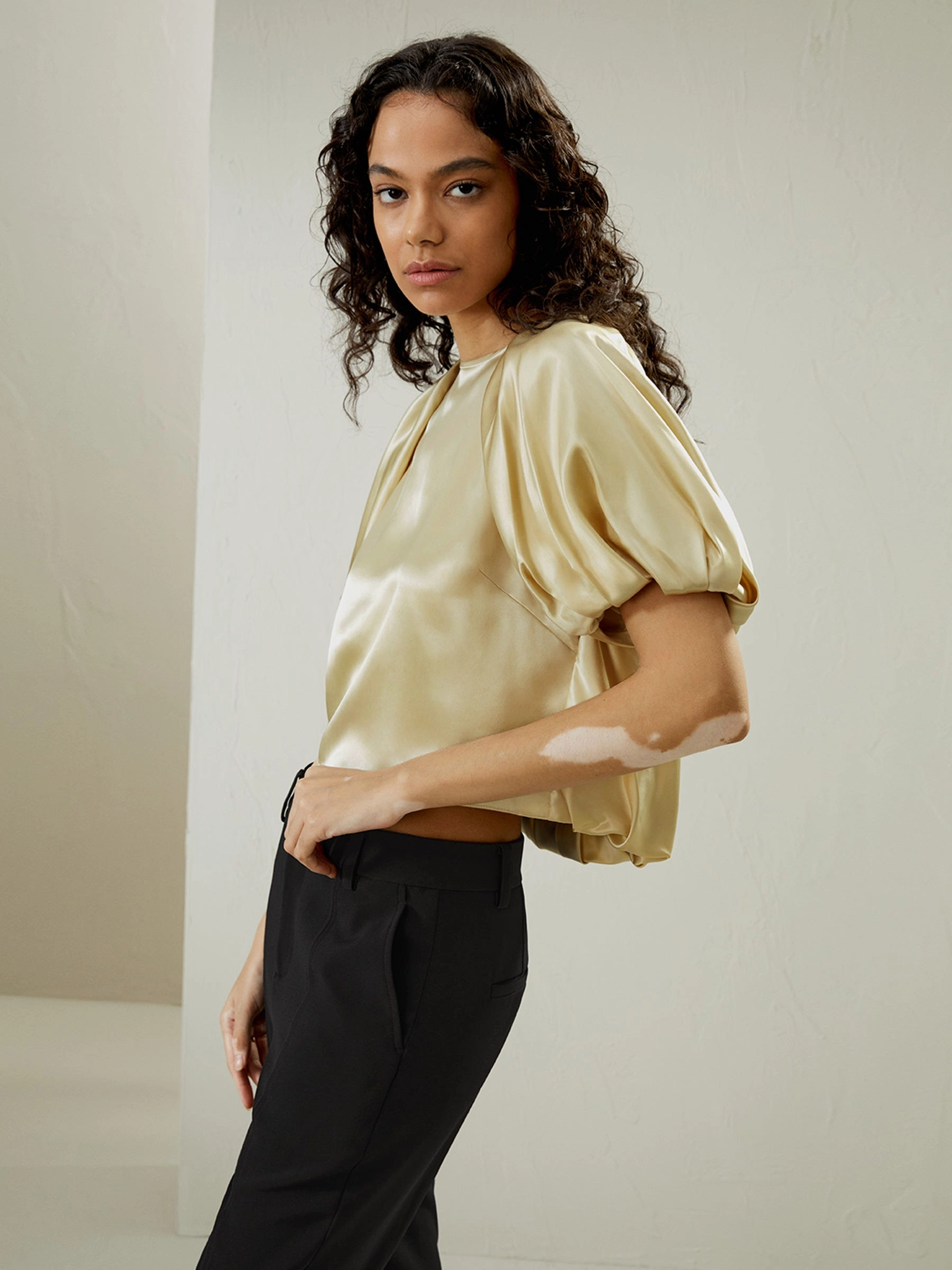 Puff Short Sleeve Watershine Silk Top for Women