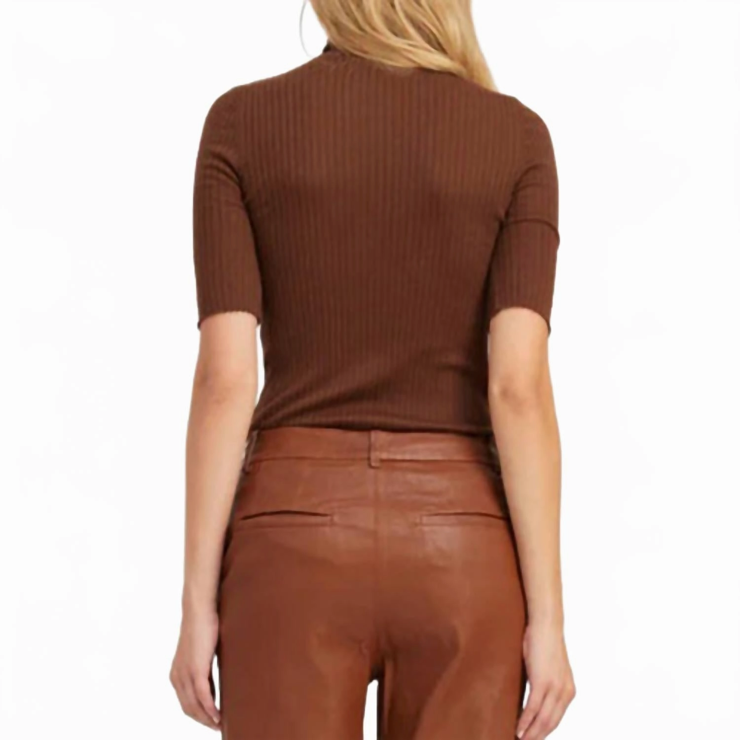 Short Sleeve Turtleneck Top In Chocolate