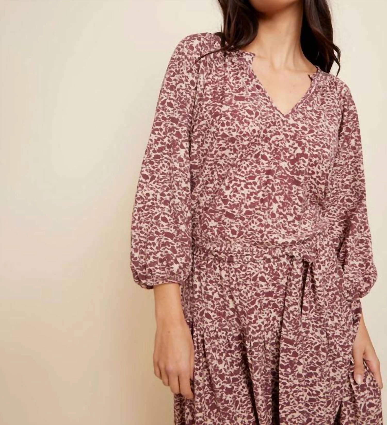 Simona Dress In Brown
