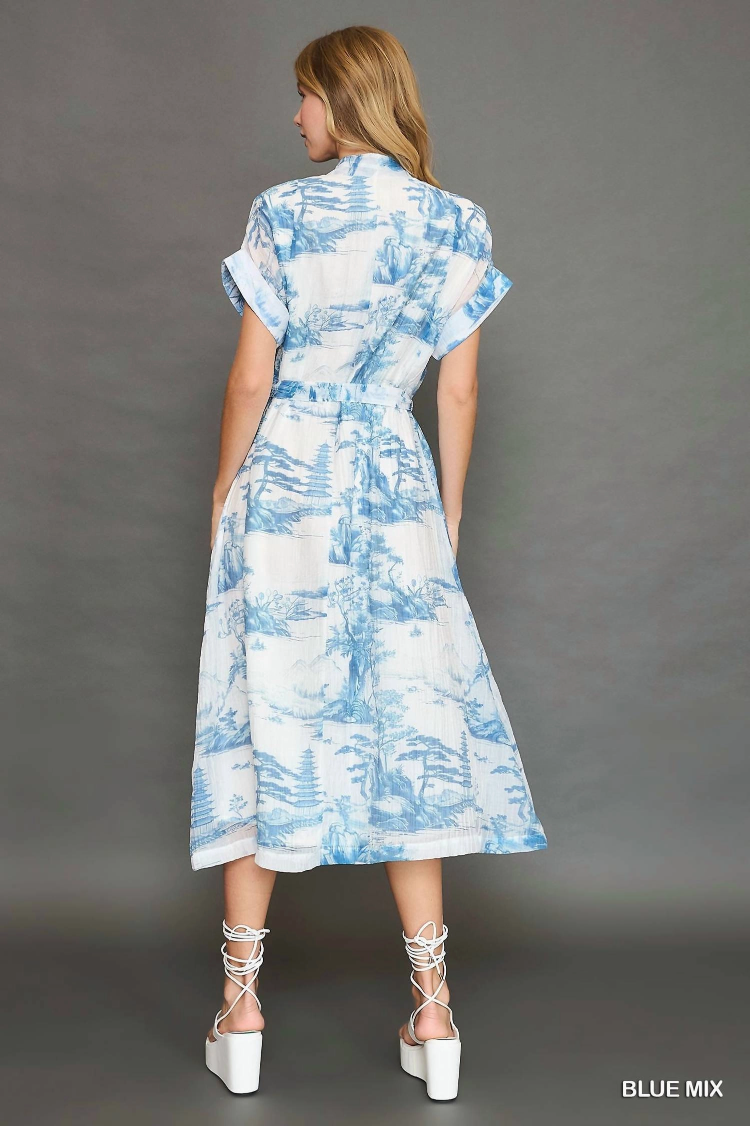 Toile Print Midi Dress In Blue