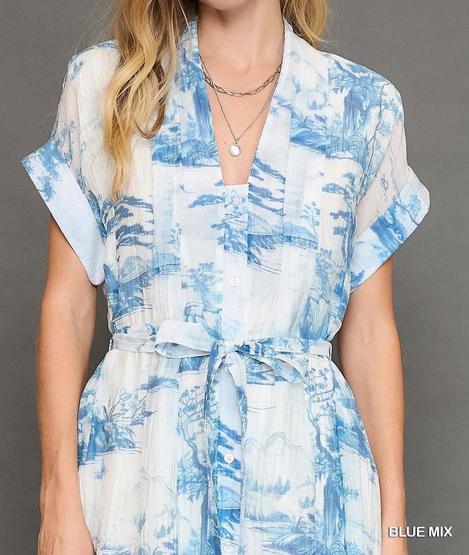 Toile Print Midi Dress In Blue