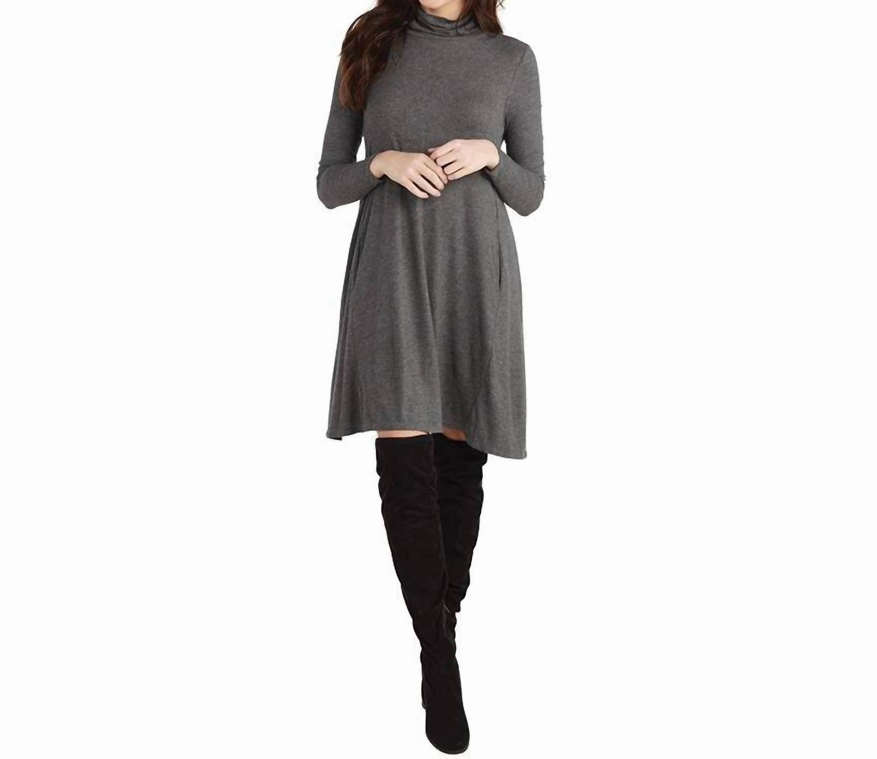 Topher Turtleneck Jersey Dress In Grey
