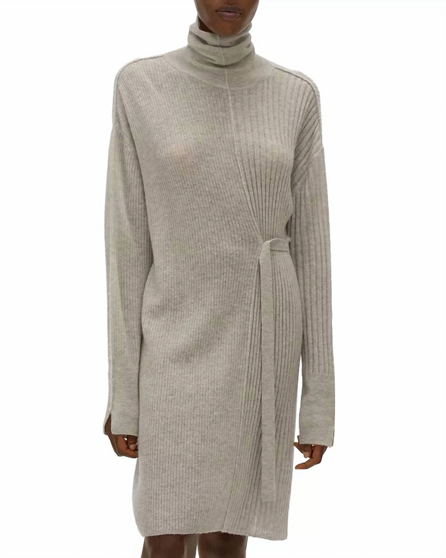 Turtleneck Sweater Dress In Silver Mist