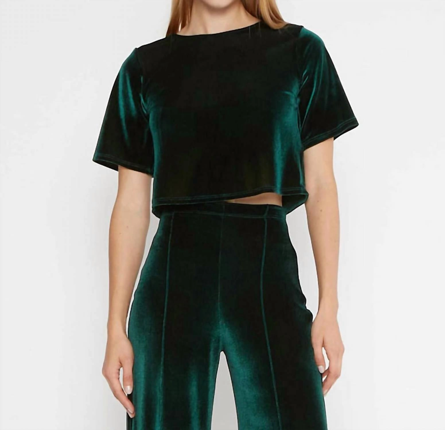 Velvet Short Sleeve Top In Emerald