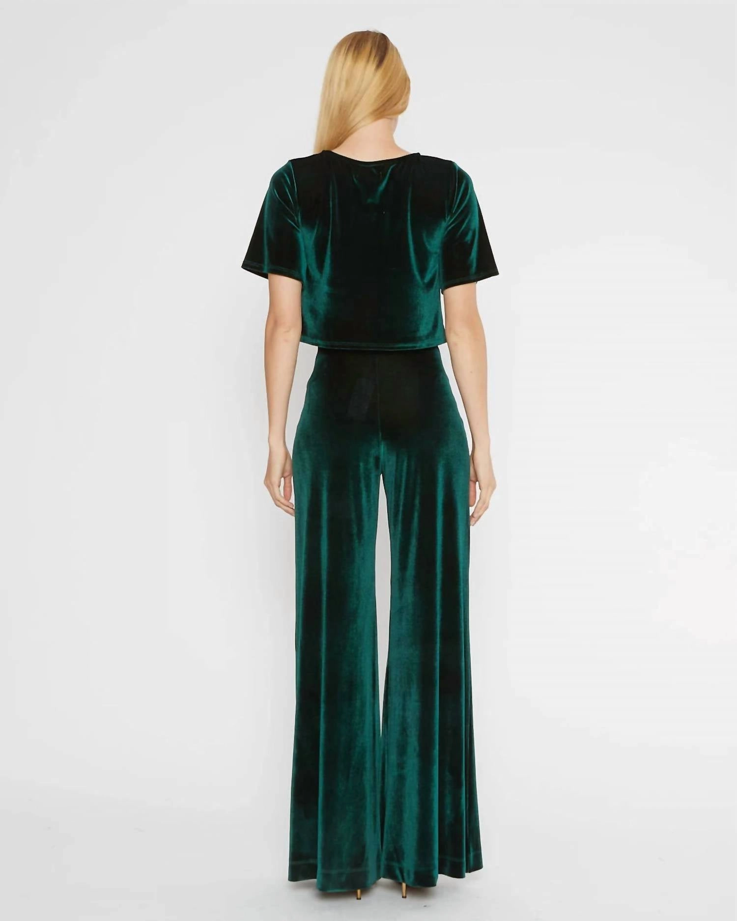 Velvet Short Sleeve Top In Emerald